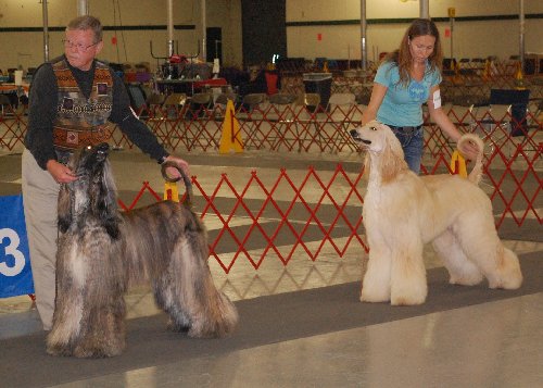 Adult Class 2012a.jpg - 48.66 K